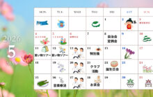 初詣 (6)のサムネイル